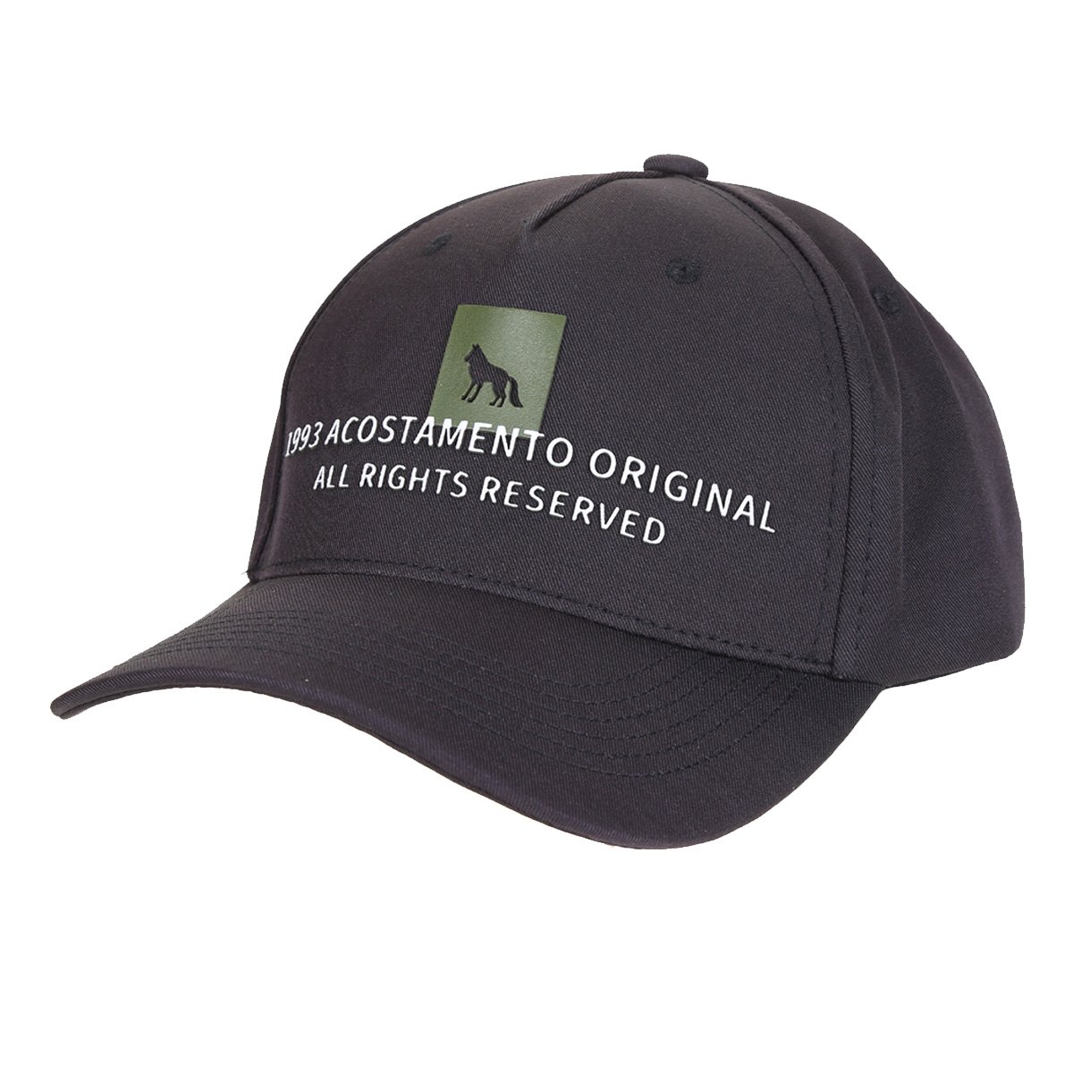 Boné Aba Curva Acostamento 1993 Strapback Masculino