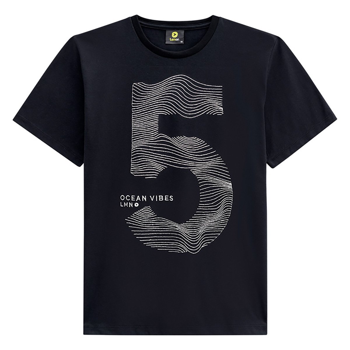 Camiseta Juvenil Lemon Estampa Com Bordado Masculina