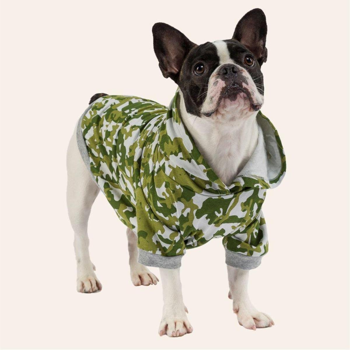 frenchie dog moletom com capuz