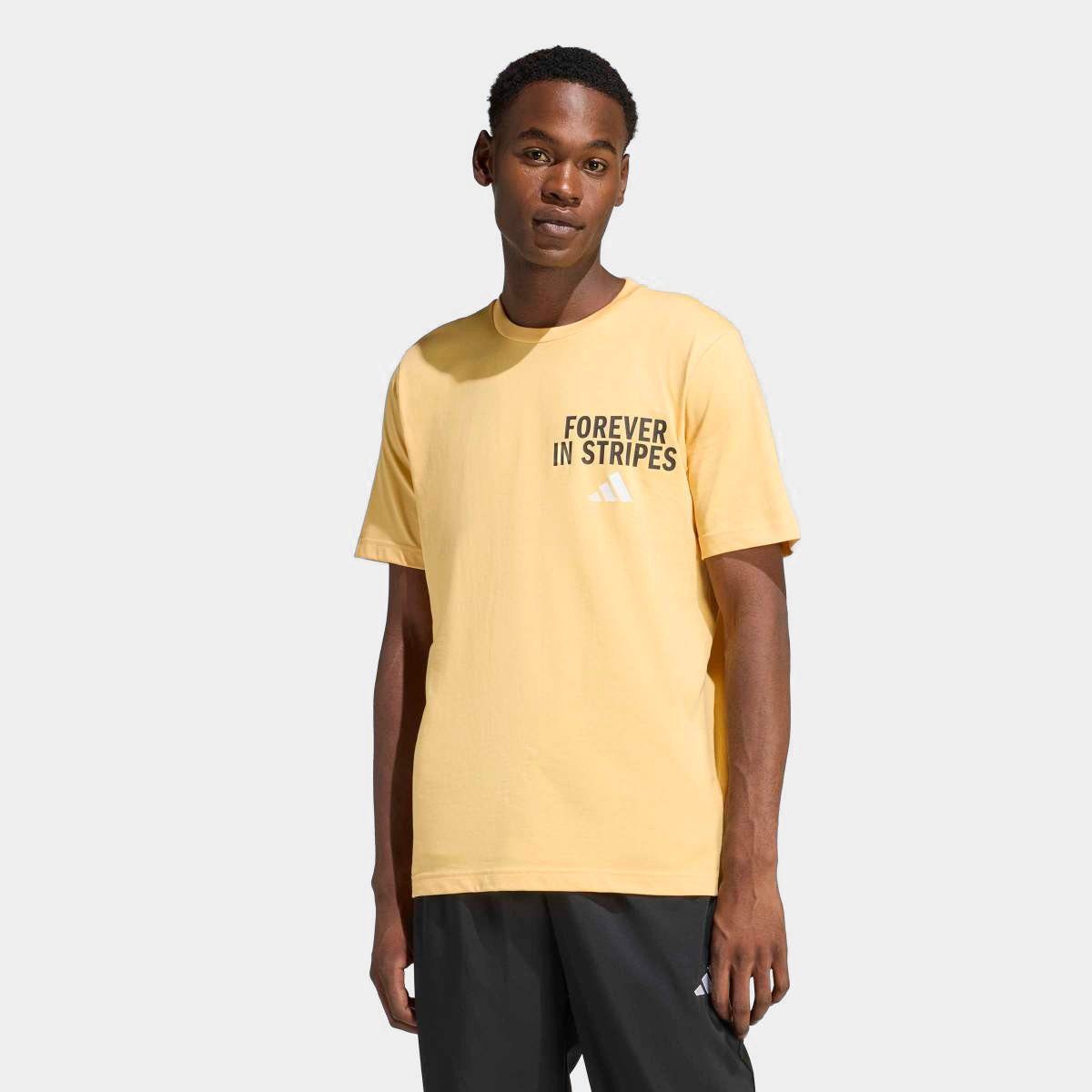 Camiseta Adidas Bold Masculina