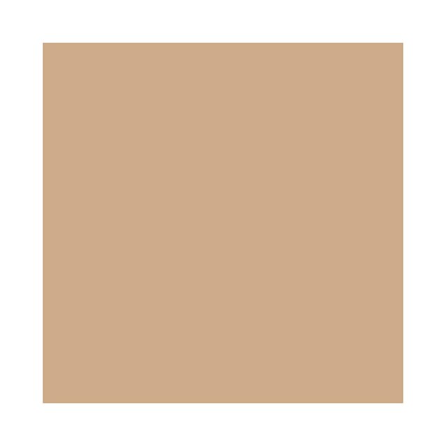 Base Facial Shiseido - Future Solution LX Total Radiance Foundation Neutral 1