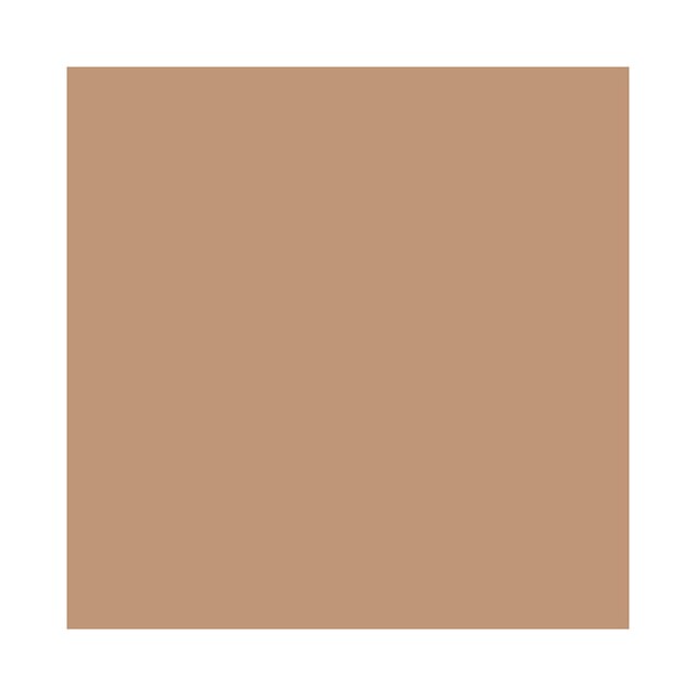 Base Facial Shiseido - Future Solution LX Total Radiance Foundation Neutral 2