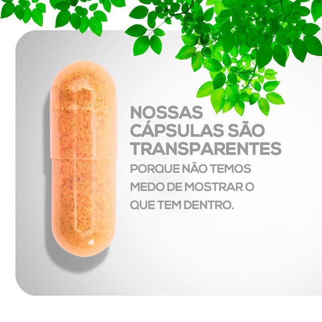 Berinjela 500mg Em Cápsulas A Verdadeira 1 Pote