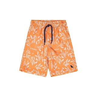 Thumbnail 0