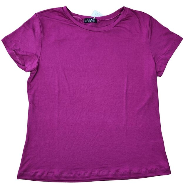 Blusinha Basica Feminina Viscolycra Premium Lunelli Gola U Manga Curta Marcia Piovan