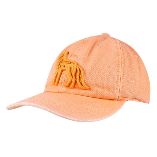 Boné Acostamento Aba Curva Strapback Masculino - Amarelo