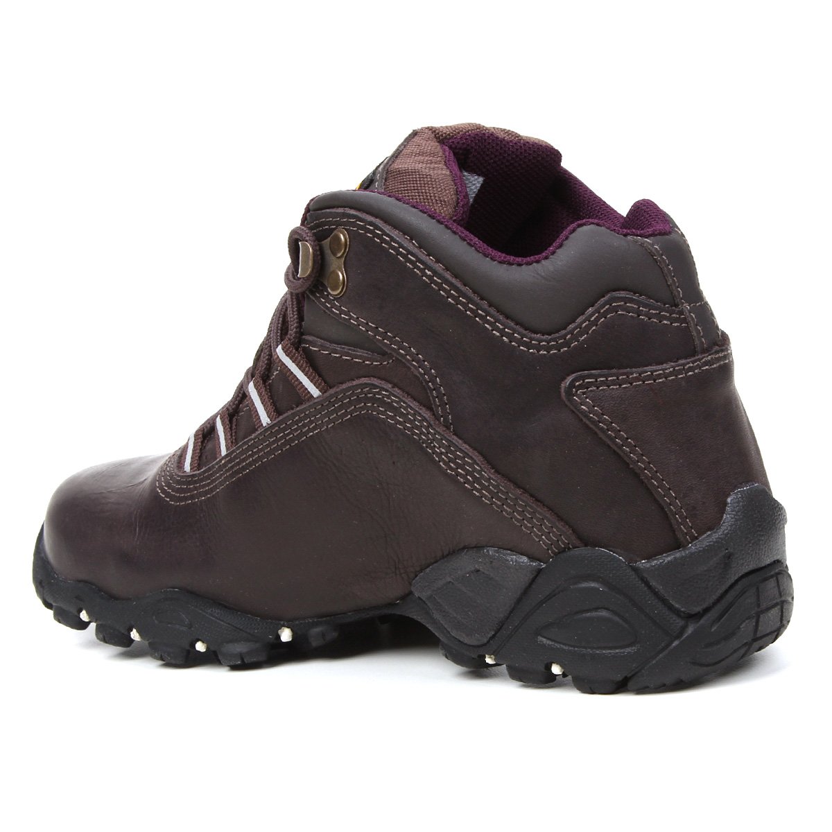 bull terrier alpina dry feminina