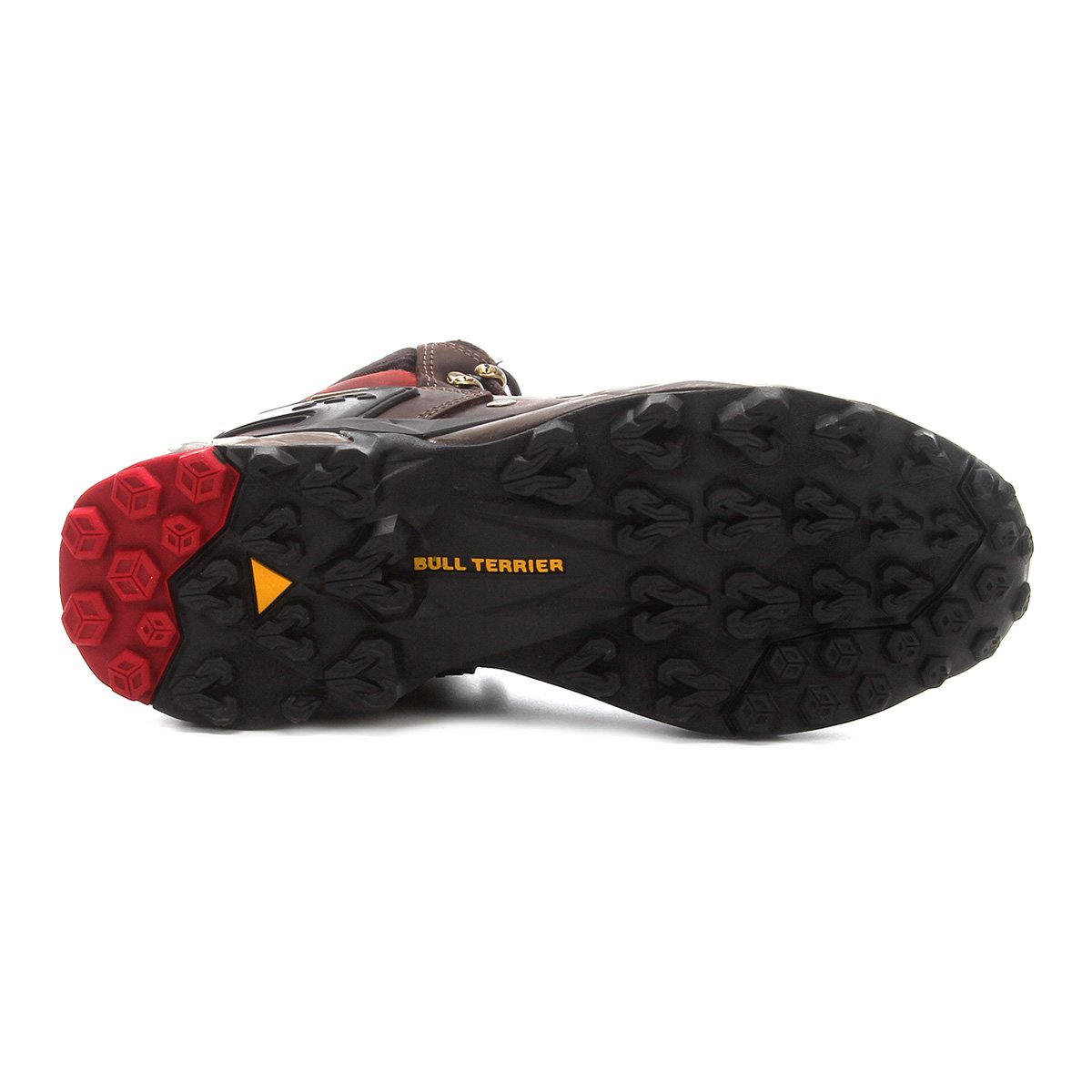 bota bull terrier hummer