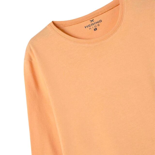 Camiseta Básica Hering kids Infantil Menino Toddler Manga Longa Laranja