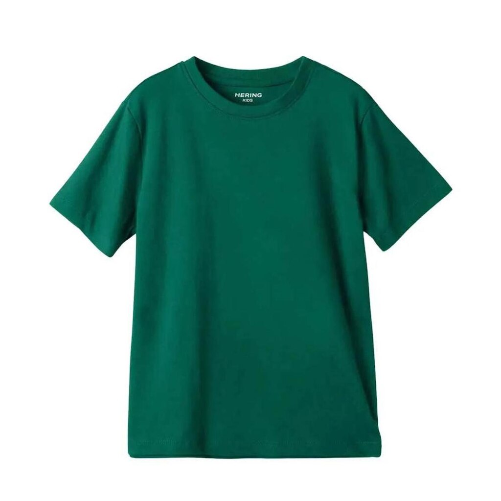 Camiseta Básica Hering Kids Infantil Menino Verde Escama