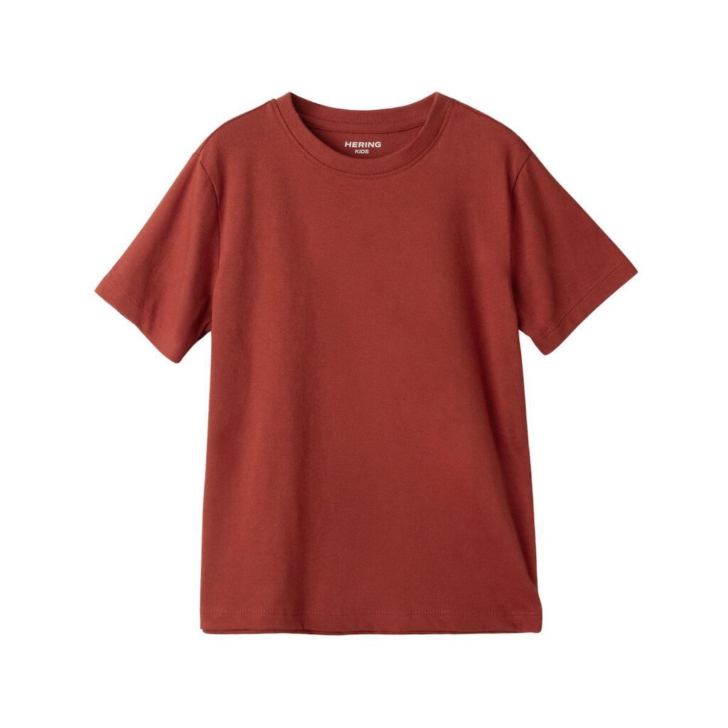 Camiseta Básica Hering Vermelho Infantil Menino Manga Slim Curta