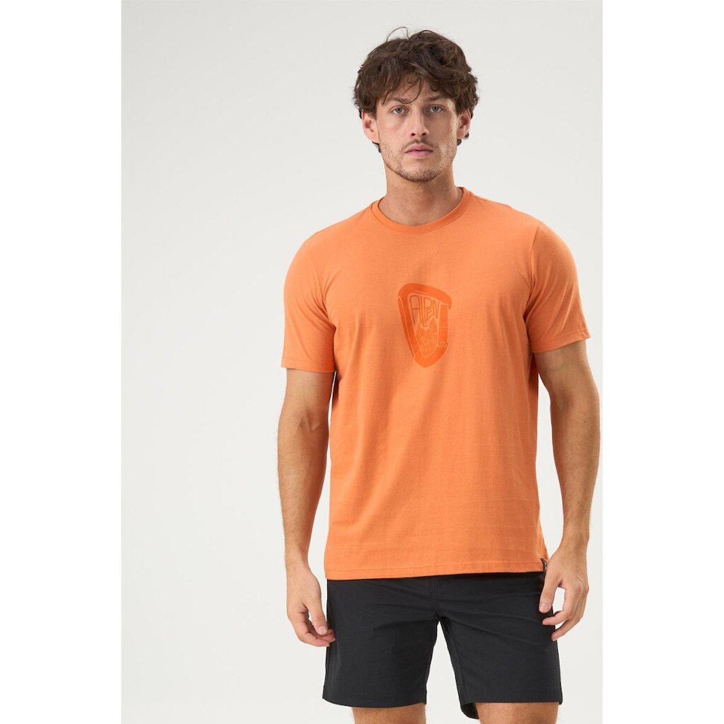 CAMISETA CARABINER MOUNTAIN MASCULINA ALPEN
