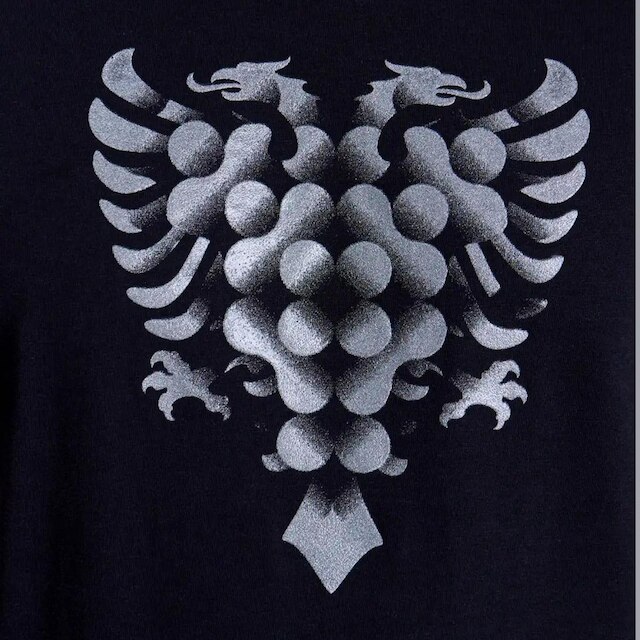 CAMISETA CAVALERA INDIE GLITTER EAGLE