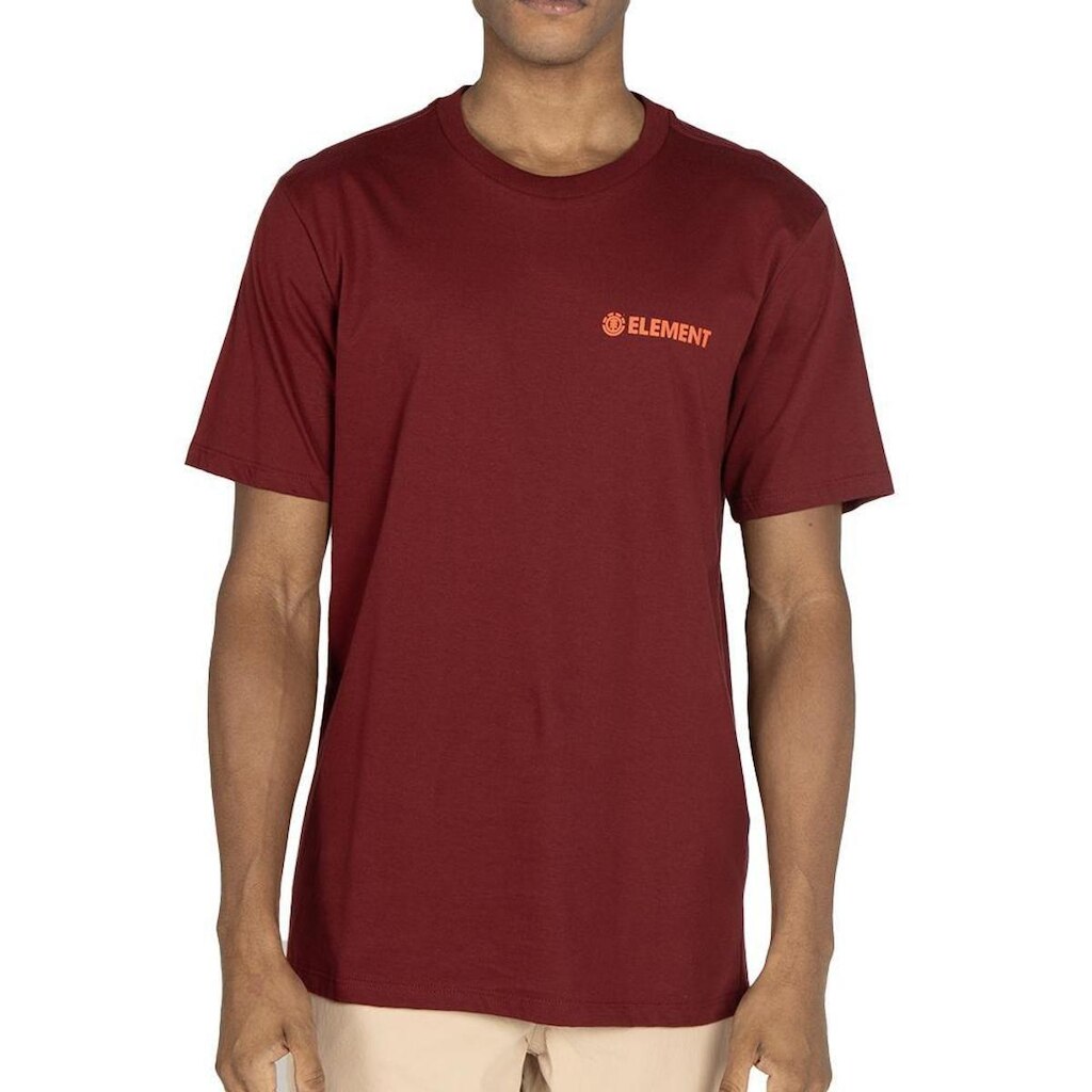 Camiseta Element Blazin Chest WT25 Masculina