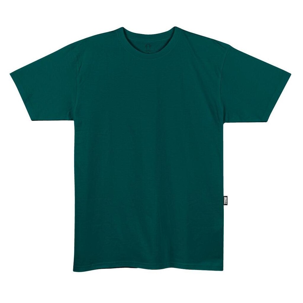 Camiseta Grizzly Blank Tee - V26GRC06