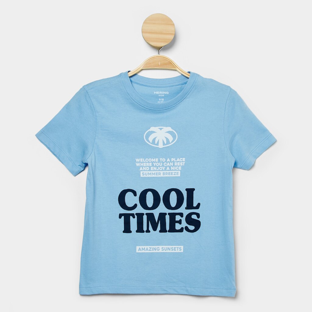 Camiseta Infantil Hering  Estampada Menino