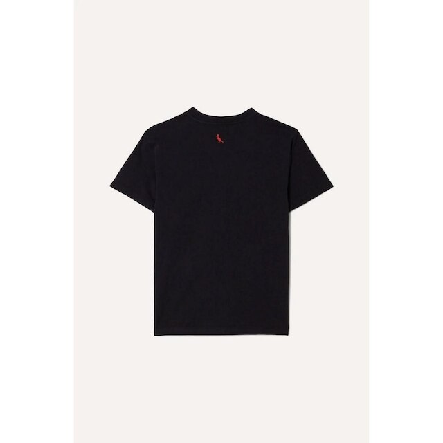 Camiseta Infantil Pica-Pau Andy Art Reserva Mini
