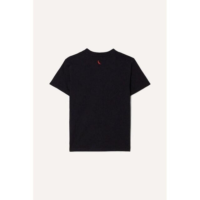 Camiseta Infantil Pica-Pau Andy Art Reserva Mini