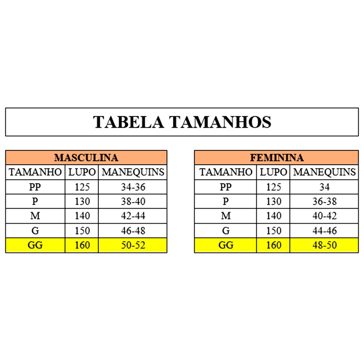 Camiseta Lupo Sport Térmica I-Core Manga Longa Feminina Zattini