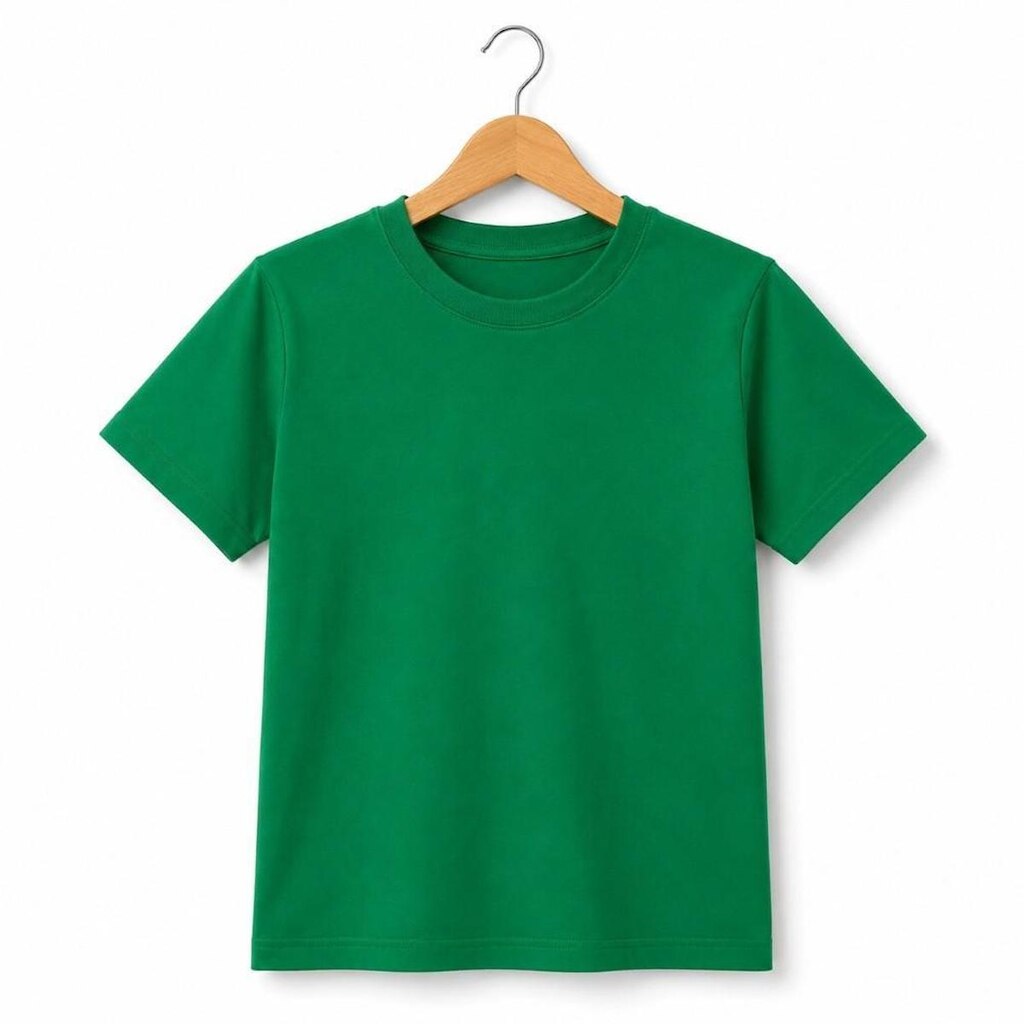 Camiseta Masculina Lisa 100% Algodão Gola Redonda Blusa Leve