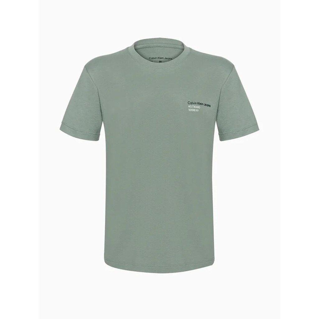 Camiseta Menino Calvin klein Boy 1978 Address Verde Estonado
