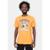 Camiseta NBA Mascot Blazon Phoenix Suns Masculino - Laranja