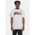 Camiseta NBA Sneakers Chicago Bulls Masculino - Off White