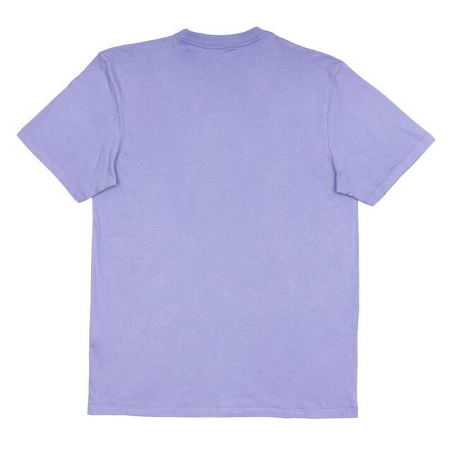 Camiseta RVCA Undergrad SM25 Masculina