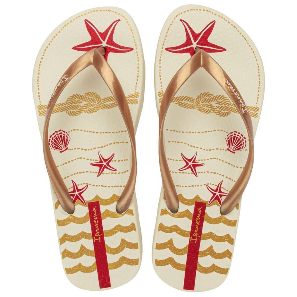 Chinelo Feminino Ipanema Navy Estrela do Mar Original