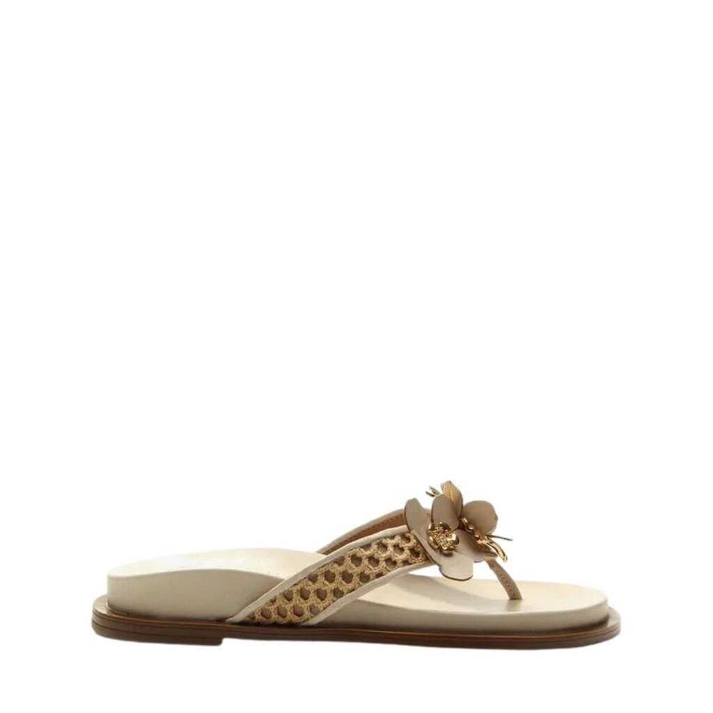 Chinelo Flat Vicenza Minesota Marrom