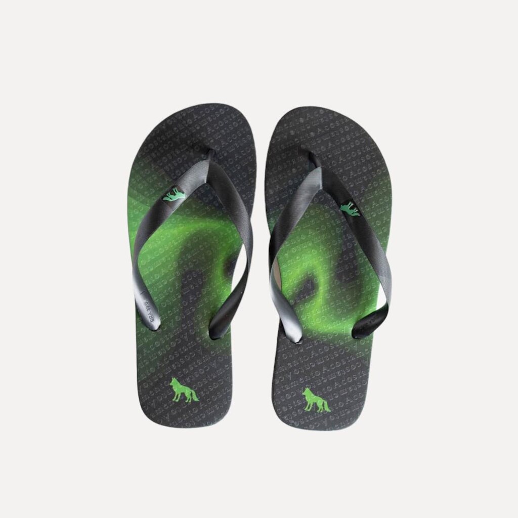 Chinelo Masculino Acostamento Boreal
