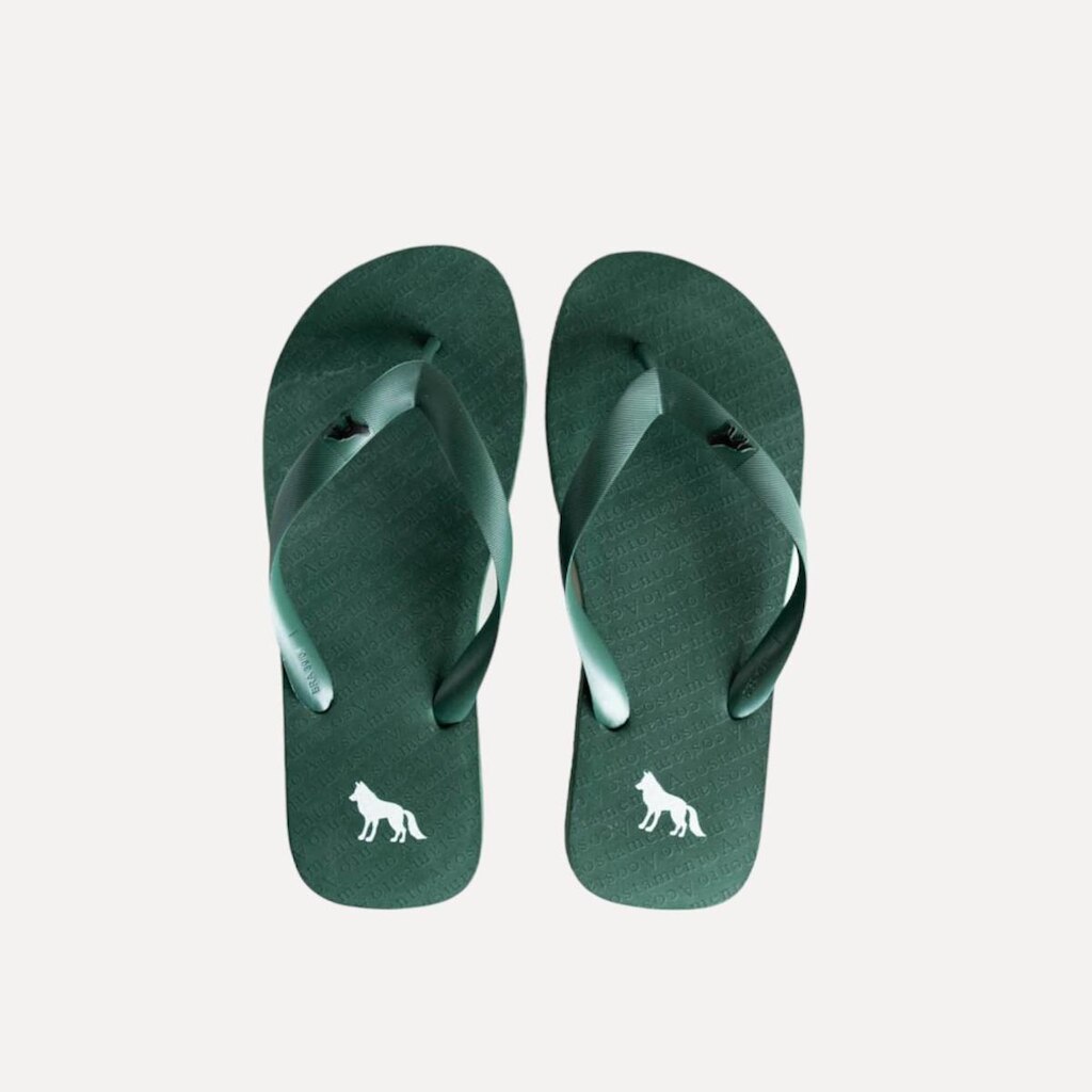 Chinelo Masculino Acostamento