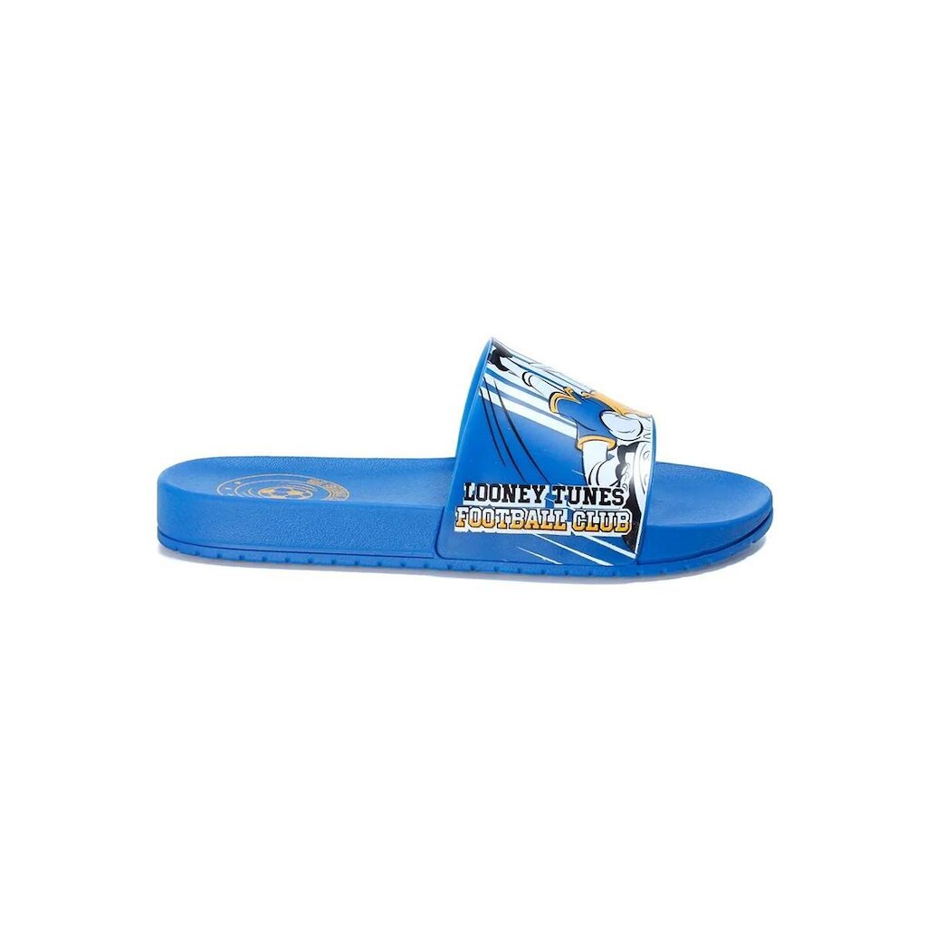 CHINELO SLIDE LOONEY TUNES COPA GASPEA GRENDENE