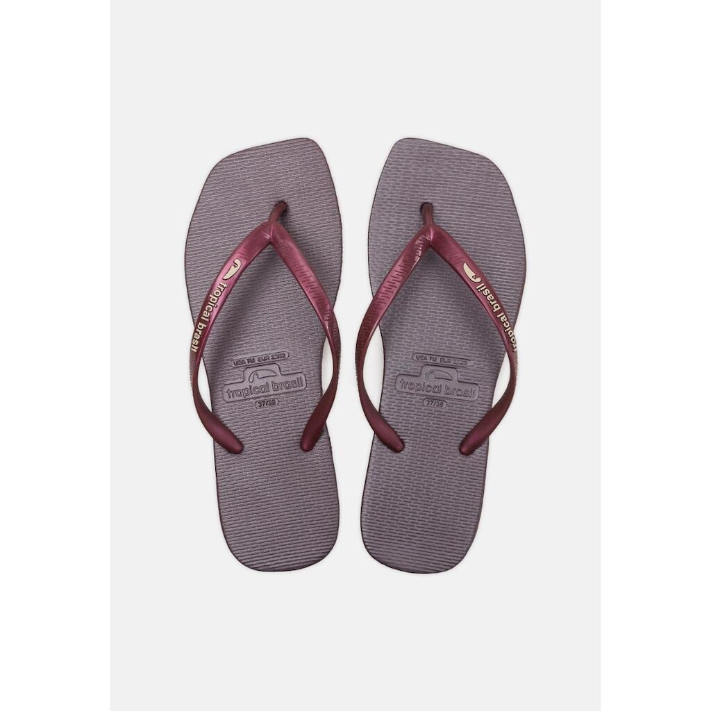 Chinelo Tropical Brasil Feminino Feminino