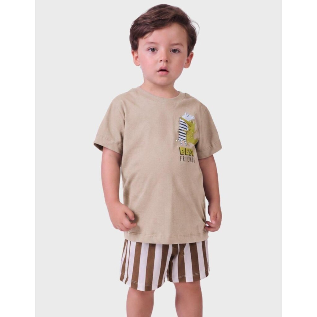Conjunto Camisa Meia Malha Estampada Manga Curta Com Bermuda Listrada Moletinho Menino 1 a 4