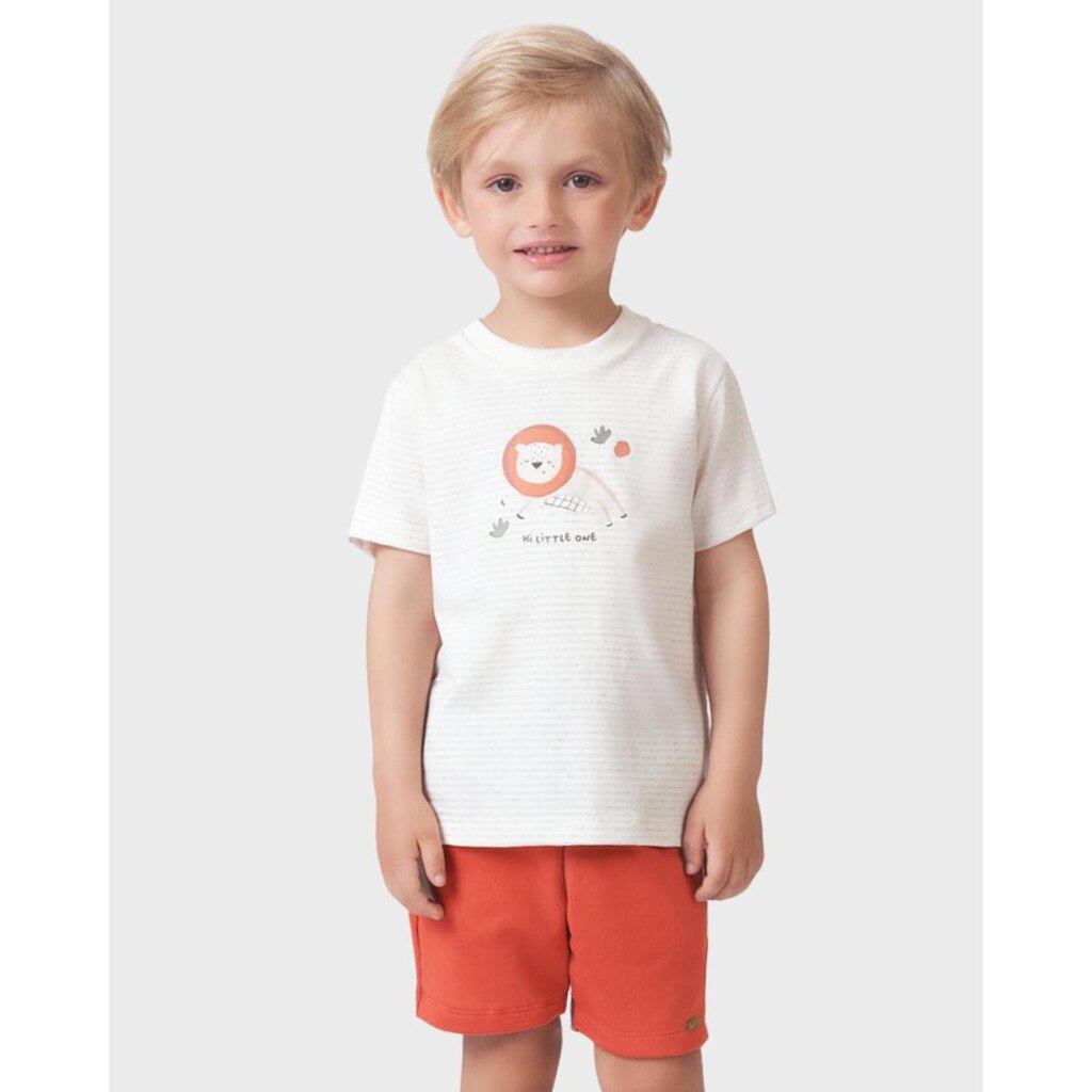 Conjunto camiseta leão bermuda moletinho verão fofo leve - Verde e Ferrugem - Menino 1 a 4 anos