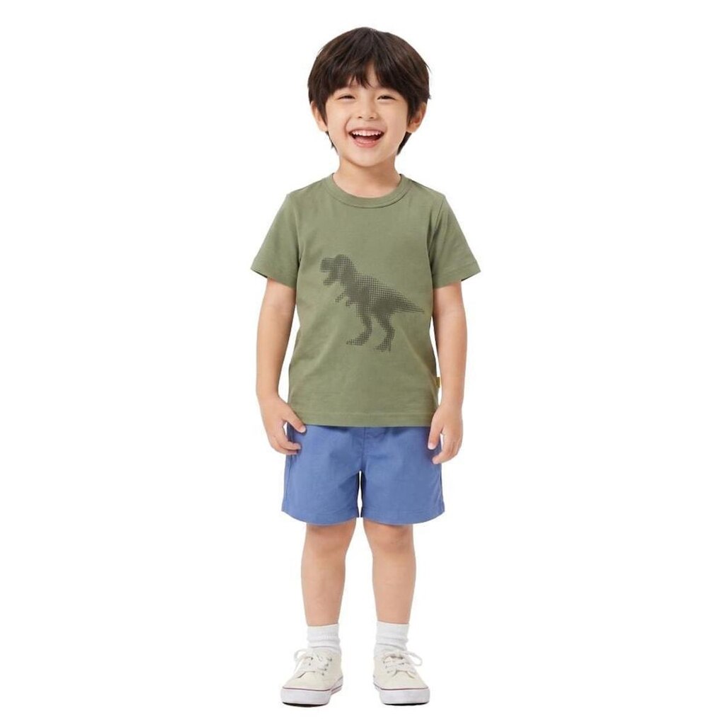 Conjunto Infantil Menino Dino Pantano e Azul Alphabeto
