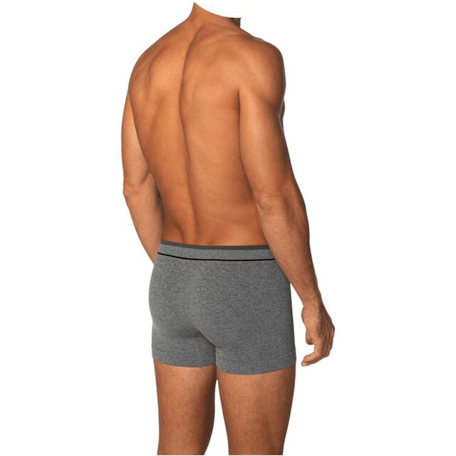 Cueca Boxer Masculina Adulto Dia a Dia Sem Costura Anatômica Lupo 00733-004