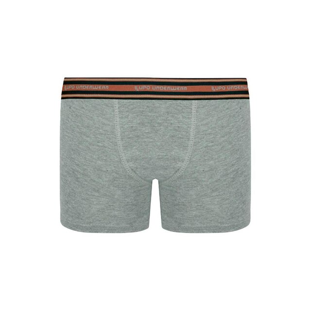 Cueca Infantil Boxer Lupinho 141-003