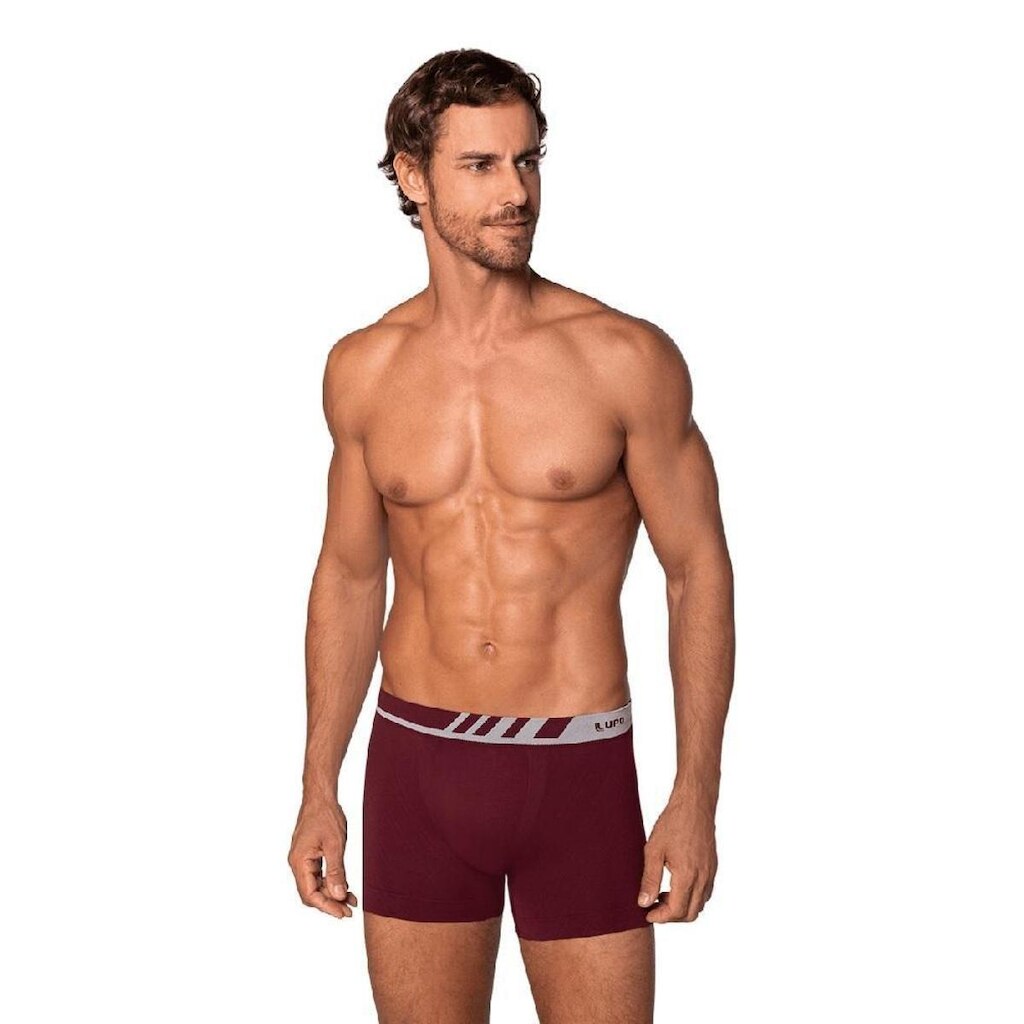 Cueca Lupo Boxer Microfibra Cós Com Chanfro - 00671-002