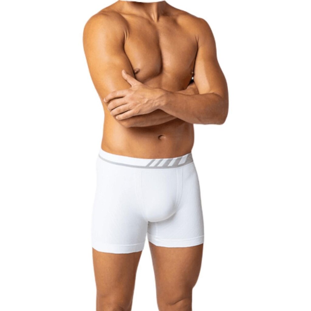 Cueca Masculina Boxer Dia a Dia Microfibra Sem Costura Seamless Lupo 00671-002