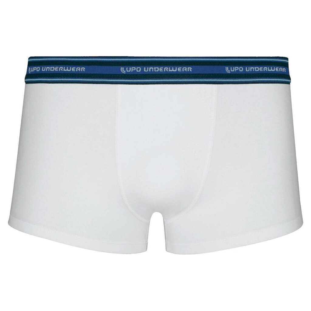 Cueca Sunga Adulto Algodão Com Elastano Underwear - Lupo