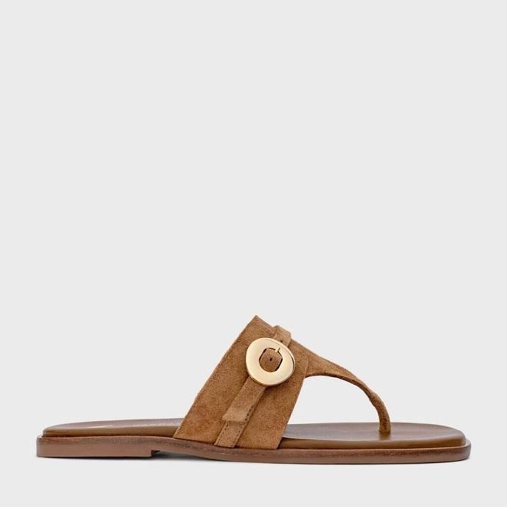Flat Thong Basis em Couro Suede Saddle / Marrom Carrano