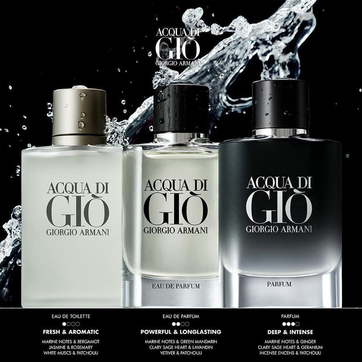 Giorgio Armani Acqua Di Giò EDP Perfume Masculino 200ml | Zattini