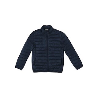 thumb ARI-4241-008