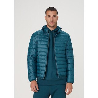 thumb ARI-4241-060