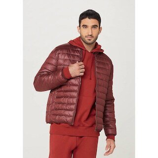 thumb ARI-4241-788