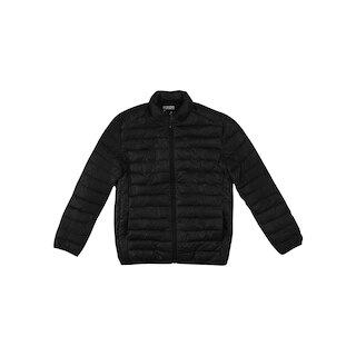 thumb ARI-4165-006