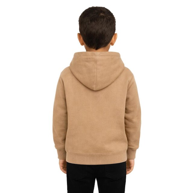 Kit 2 Moletom Infantil com Capuz Bolso Canguru Flanelado Blusa Frio
