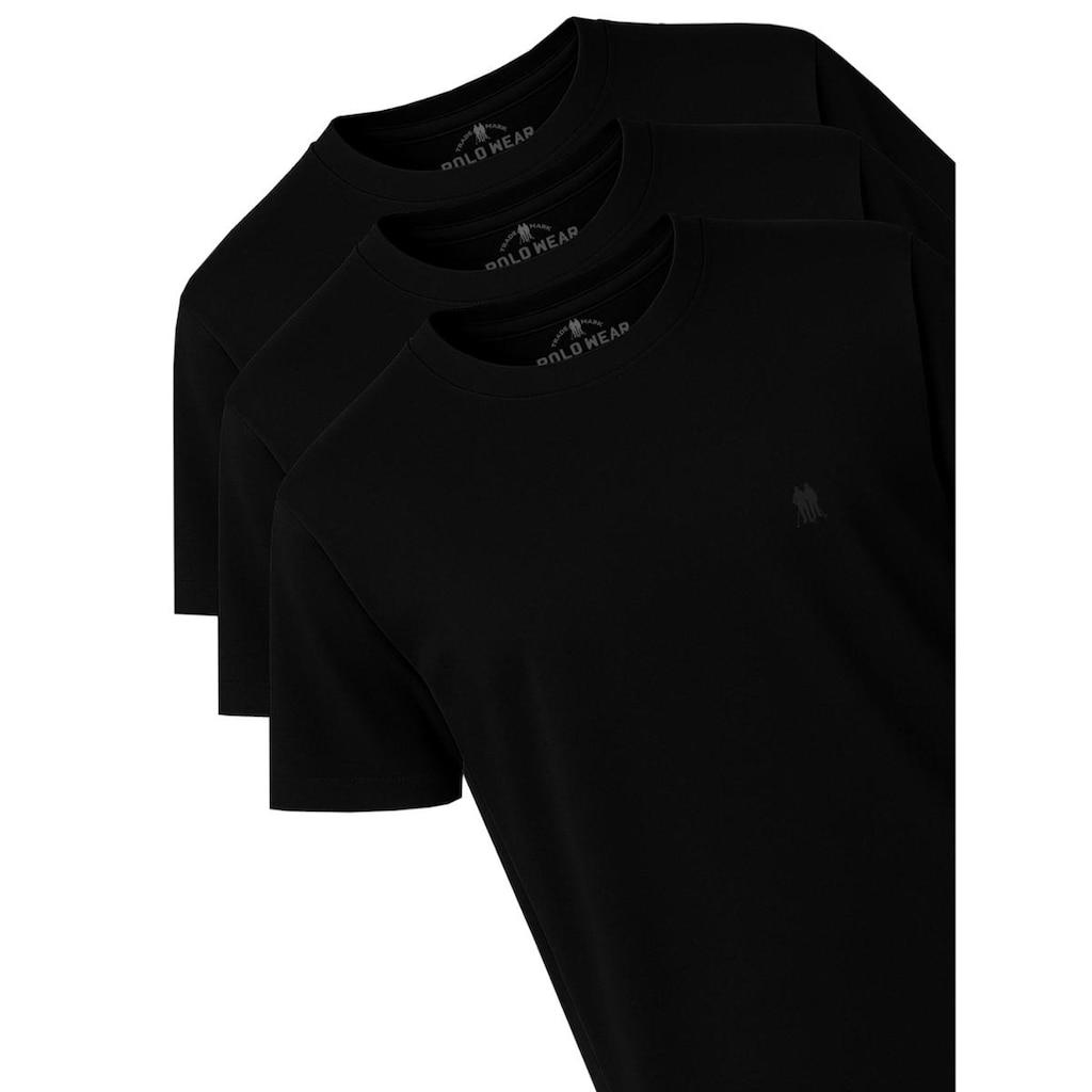 Kit 3 Camisetas Gola Careca Polo Wear